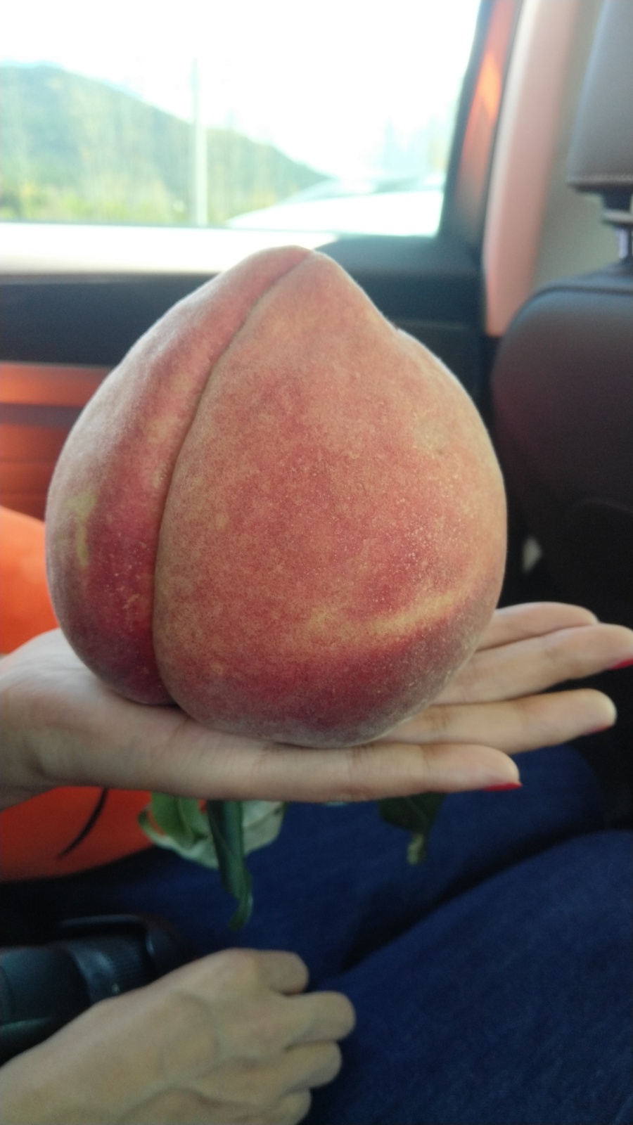 IMG 20191015 133353R