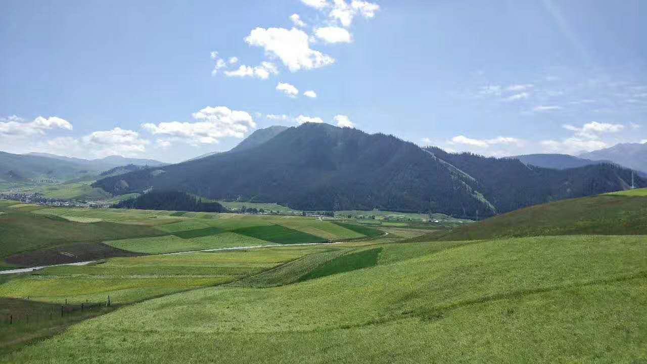 342092762c1fe9911396acaf01a6b8d